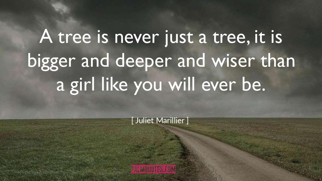 Juliet Marillier quotes by Juliet Marillier