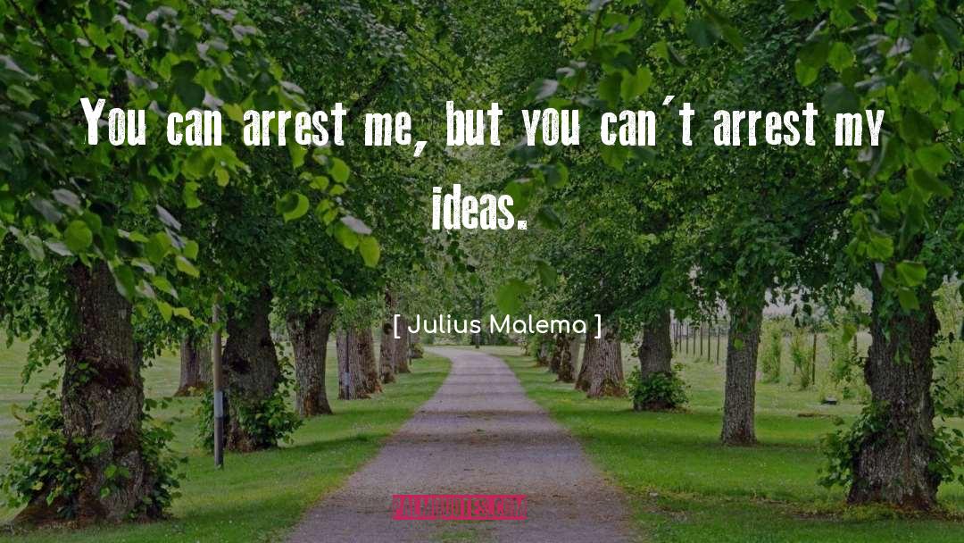 Julius Erving quotes by Julius Malema