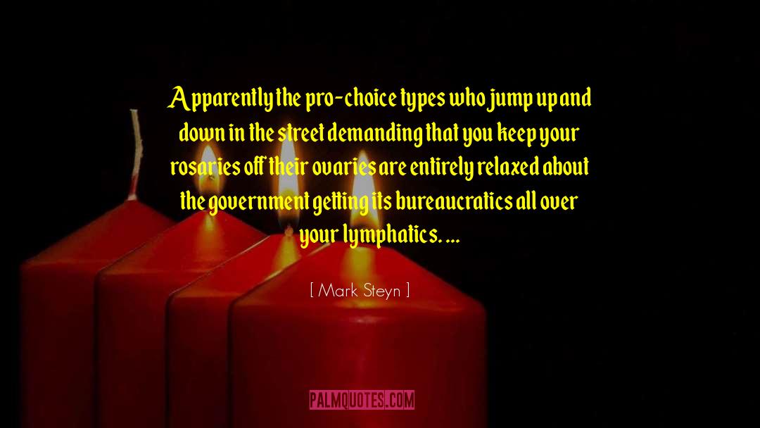 Jump Up quotes by Mark Steyn