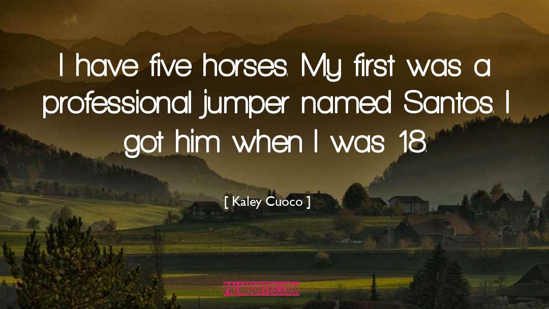 Jumper quotes by Kaley Cuoco