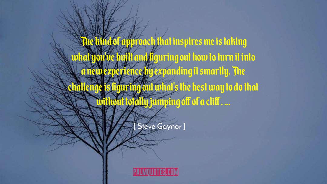 Jumping In quotes by Steve Gaynor