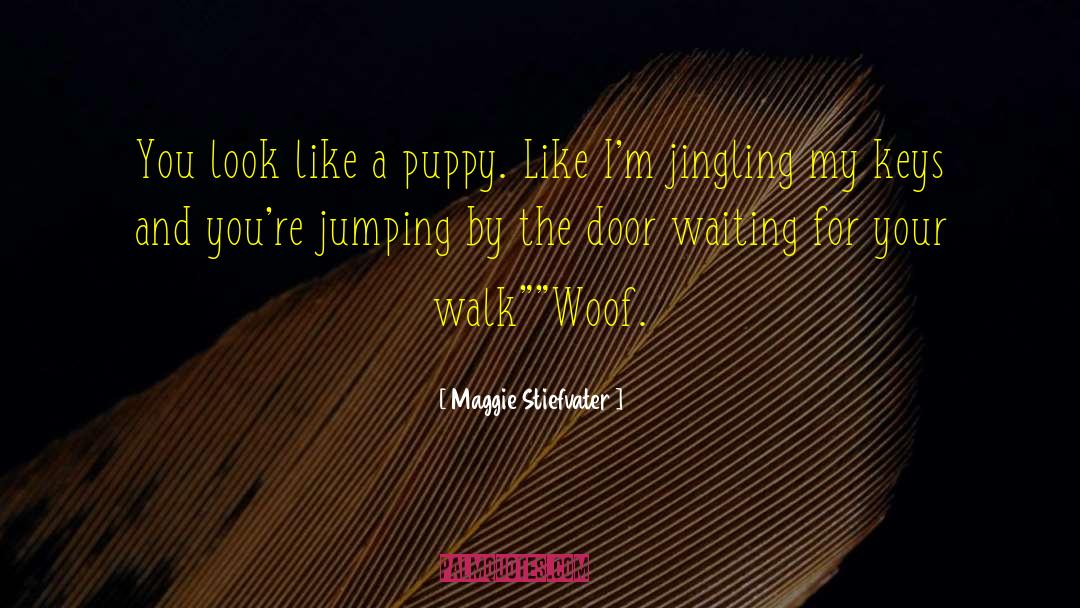 Jumping Monkey Hill quotes by Maggie Stiefvater