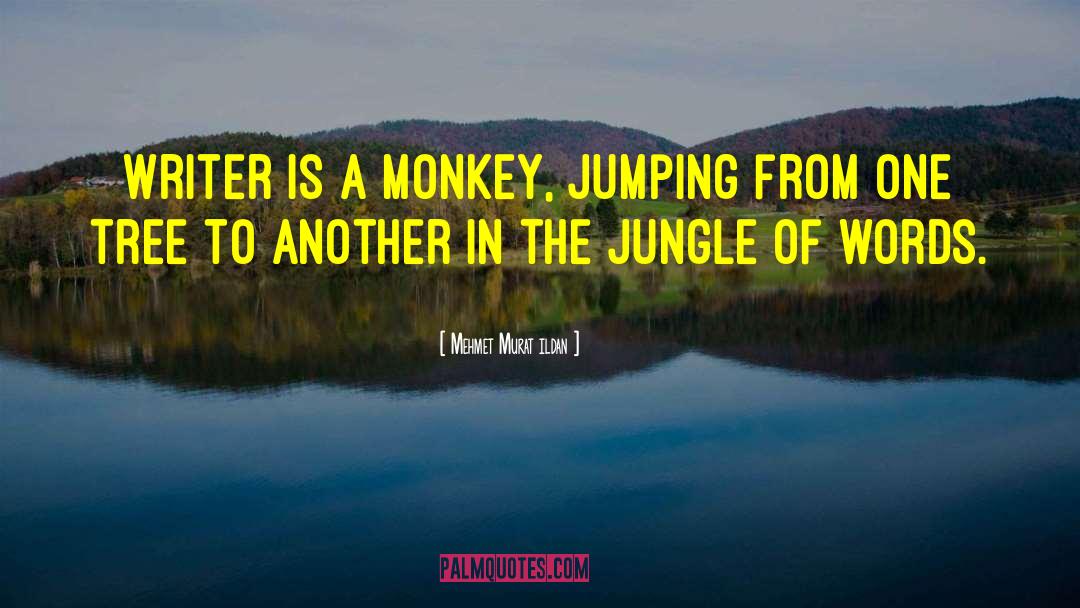 Jumping Monkey Hill quotes by Mehmet Murat Ildan