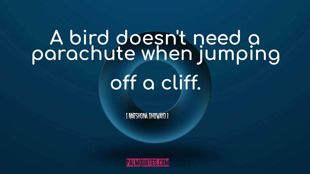 Jumping Off A Cliff quotes by Matshona Dhliwayo