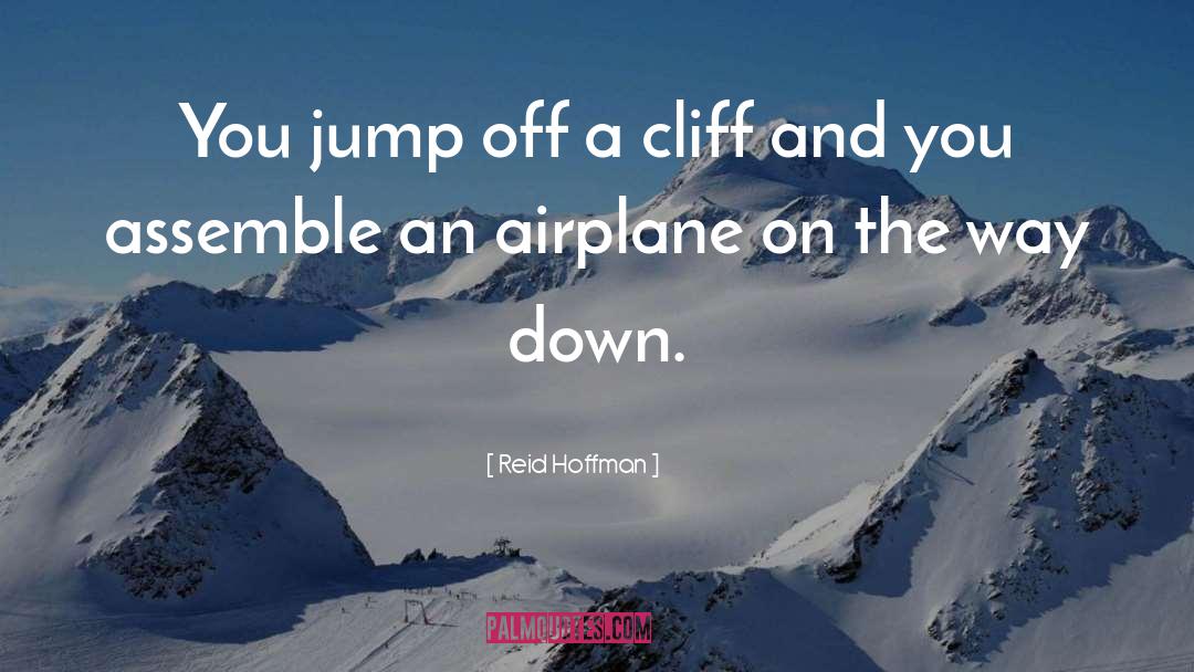 Jumping Off A Cliff quotes by Reid Hoffman