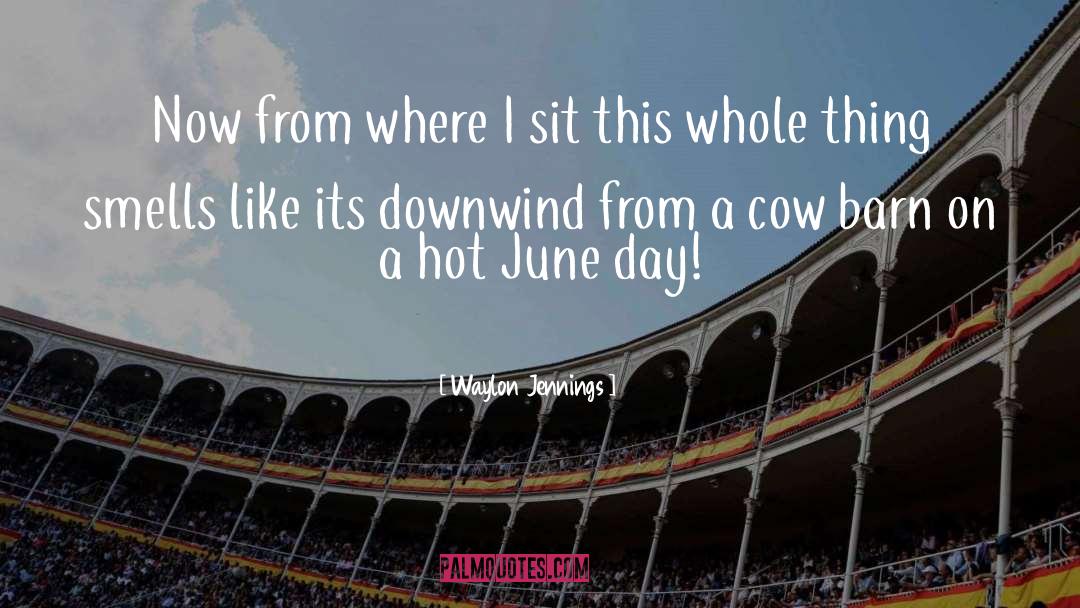 June Stoyer quotes by Waylon Jennings