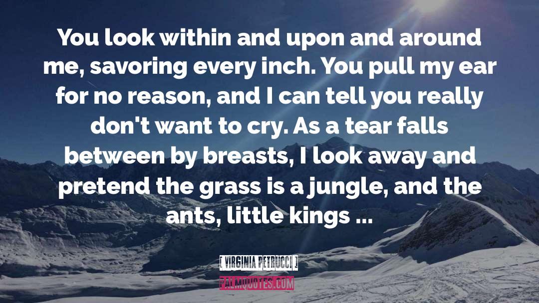 Jungle quotes by Virginia Petrucci