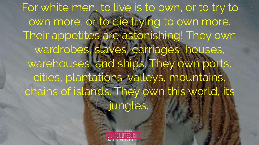 Jungles quotes by David Mitchell