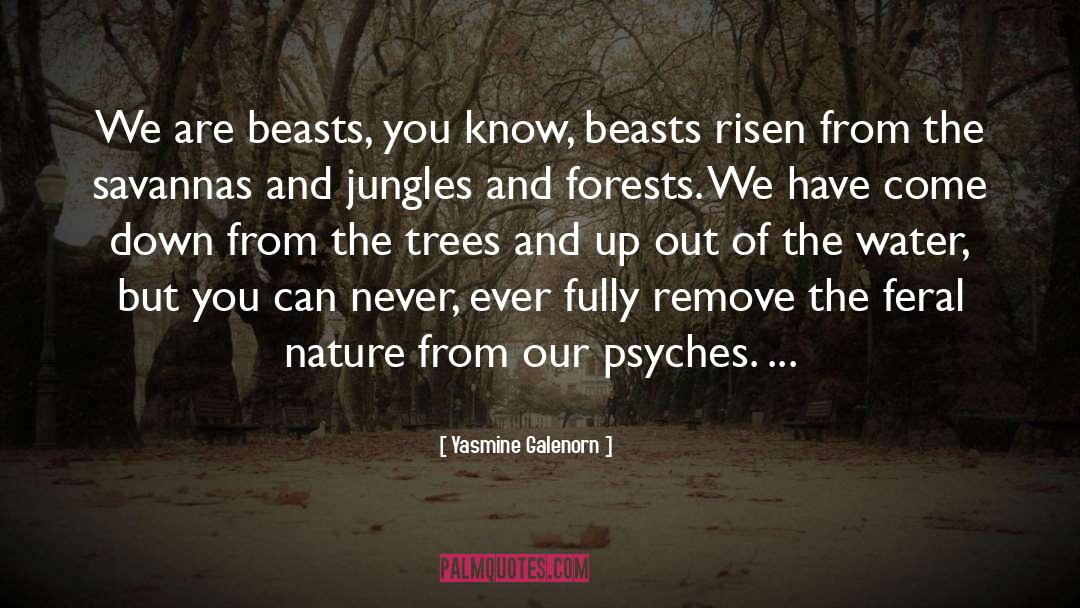 Jungles quotes by Yasmine Galenorn