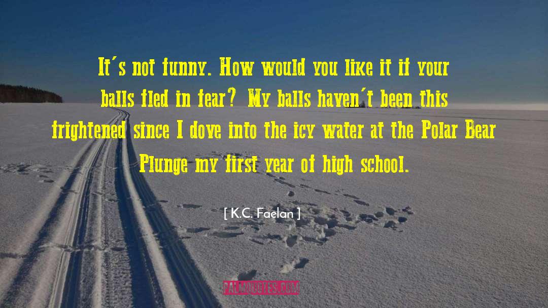 Junior Year Of High School quotes by K.C. Faelan