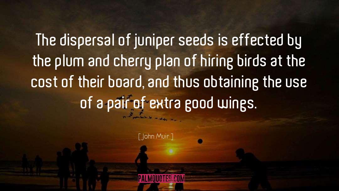 Juniper quotes by John Muir