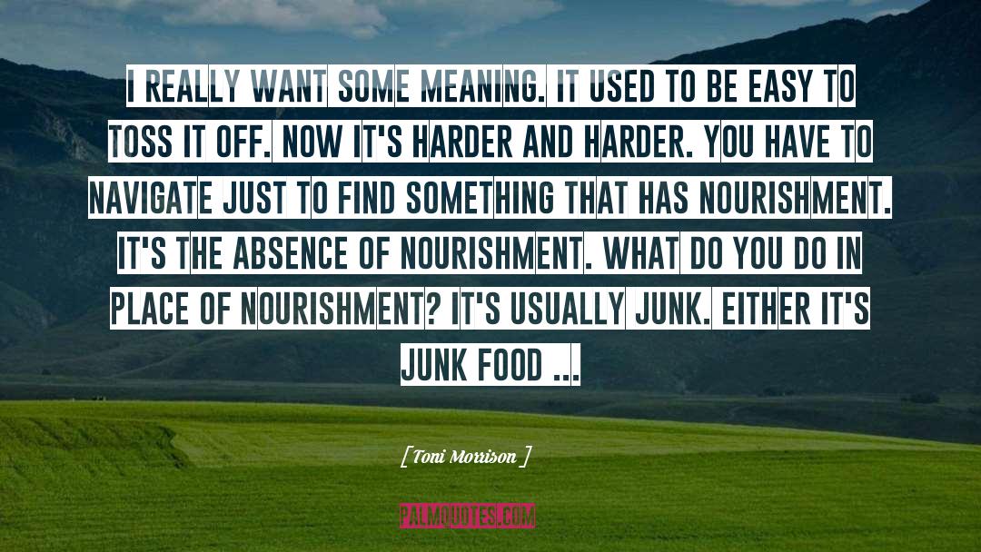 Junk Food quotes by Toni Morrison