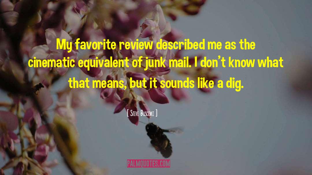 Junk Mail quotes by Steve Buscemi