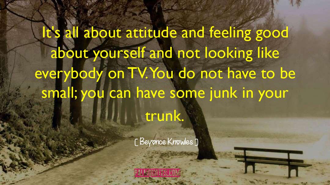 Junk quotes by Beyonce Knowles