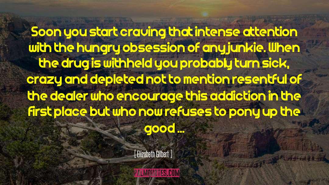 Junkie Drug quotes by Elizabeth Gilbert
