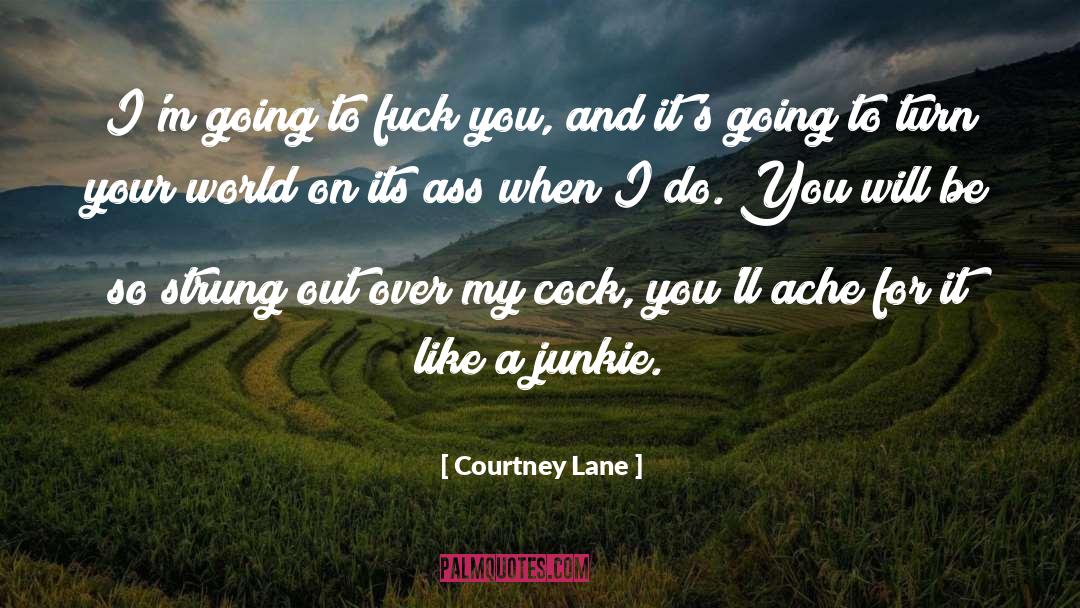 Junkie quotes by Courtney Lane