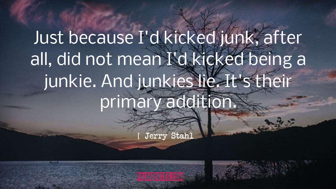 Junkie quotes by Jerry Stahl