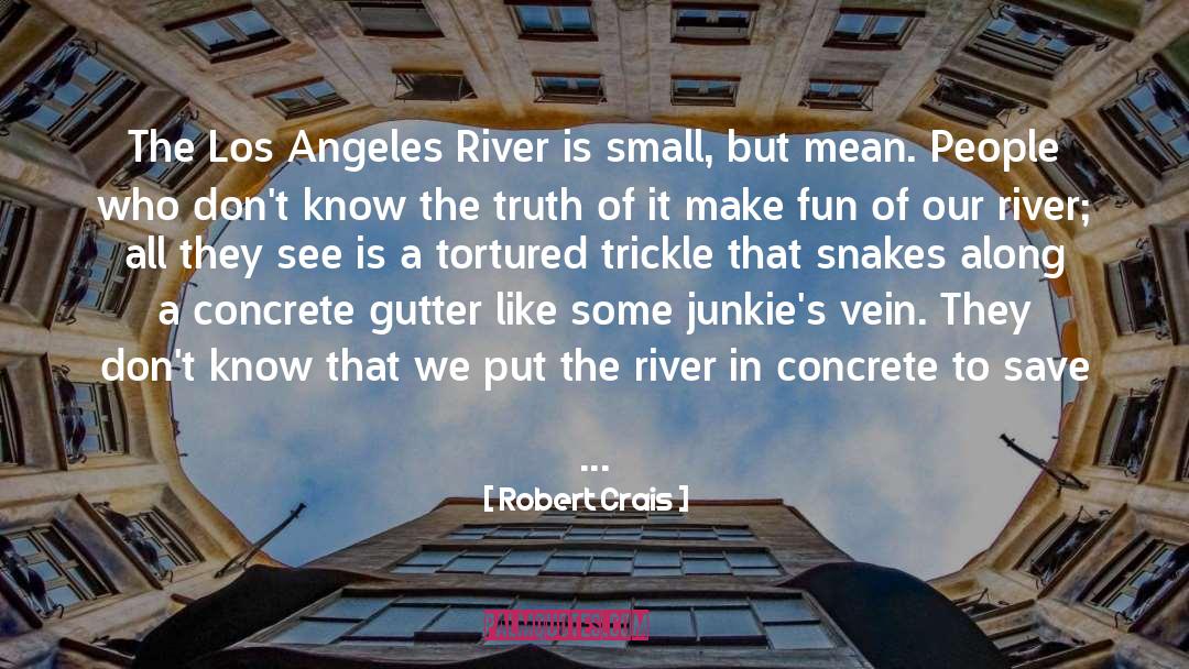 Junkies quotes by Robert Crais