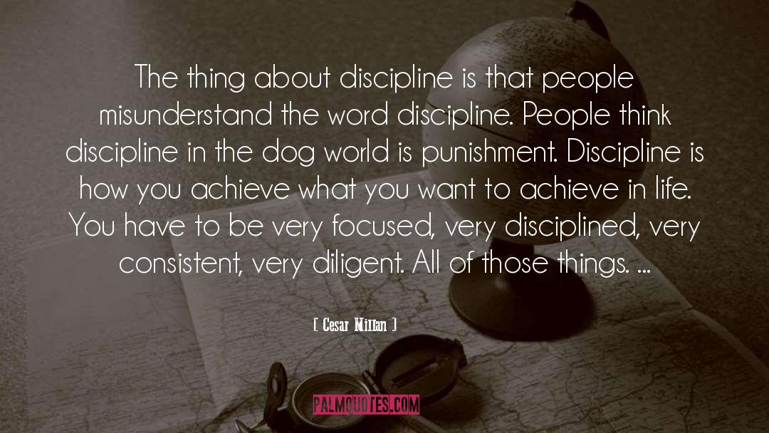 Junkyard Dog quotes by Cesar Millan