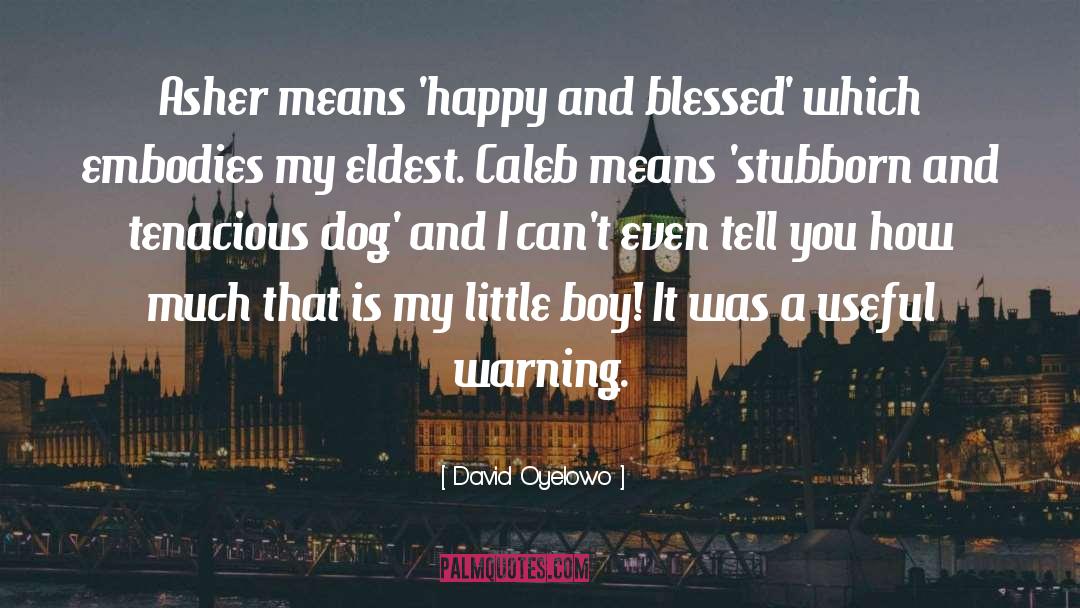 Junkyard Dog quotes by David Oyelowo