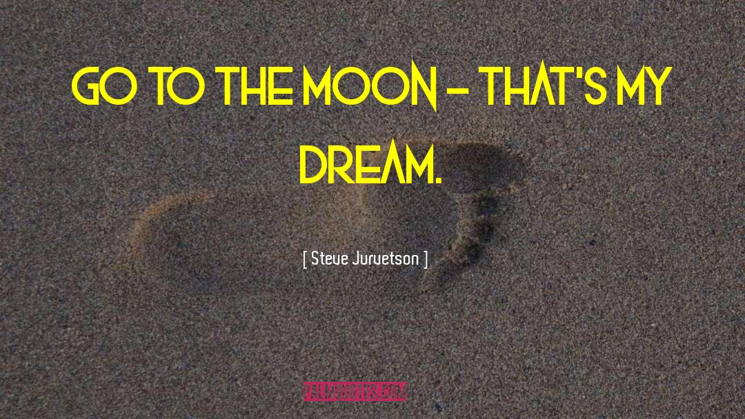 Jurvetson Flickr quotes by Steve Jurvetson