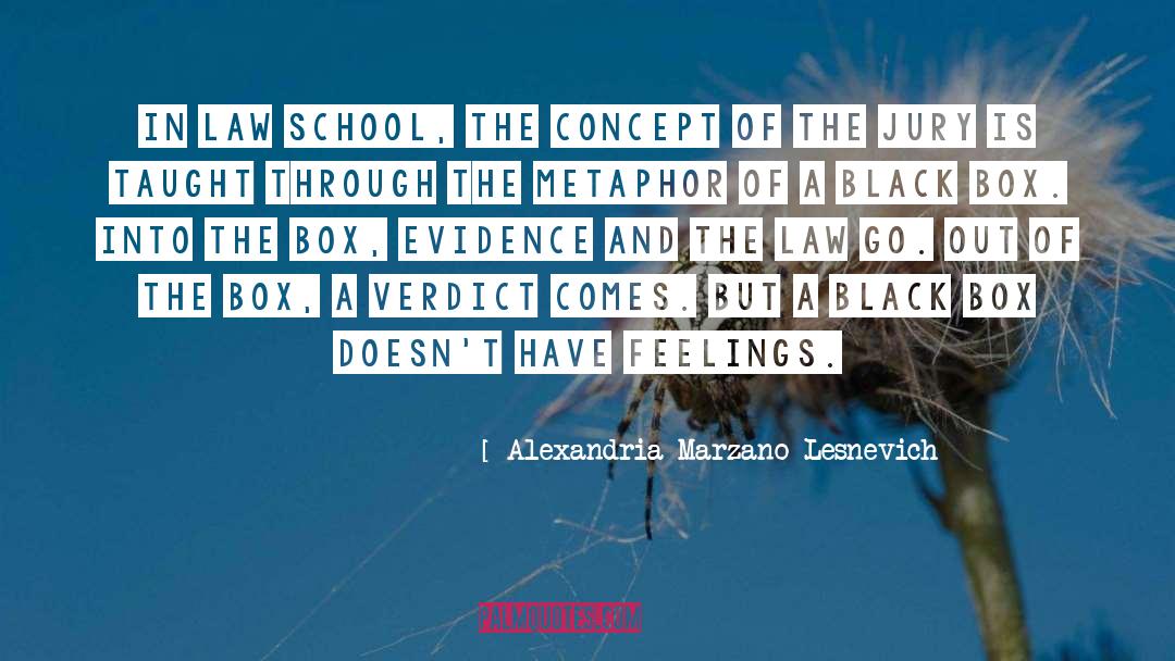 Jury quotes by Alexandria Marzano-Lesnevich