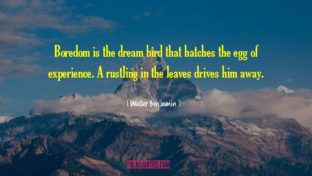 Just A Dream quotes by Walter Benjamin