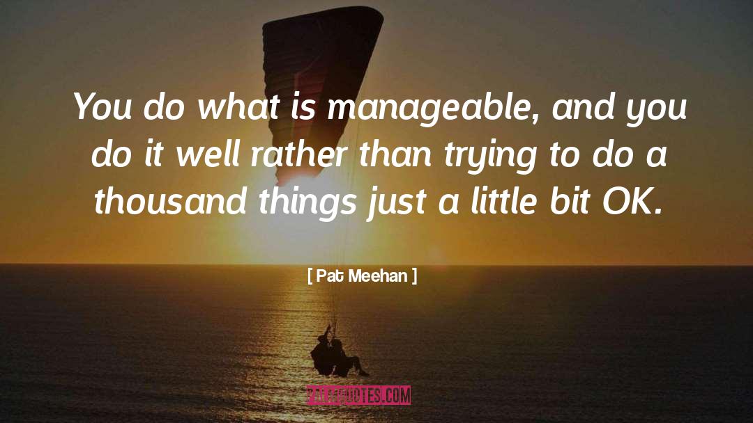 Just A Little Bit quotes by Pat Meehan