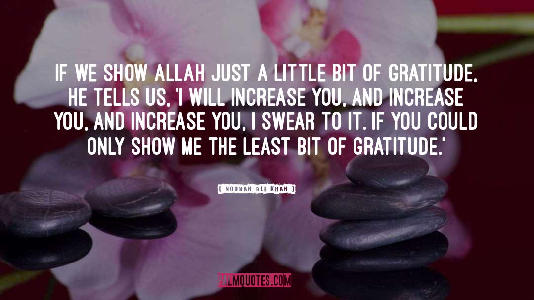 Just A Little Bit quotes by Nouman Ali Khan