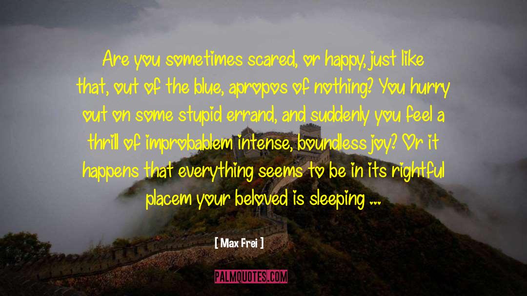 Just Be Happy For Us quotes by Max Frei