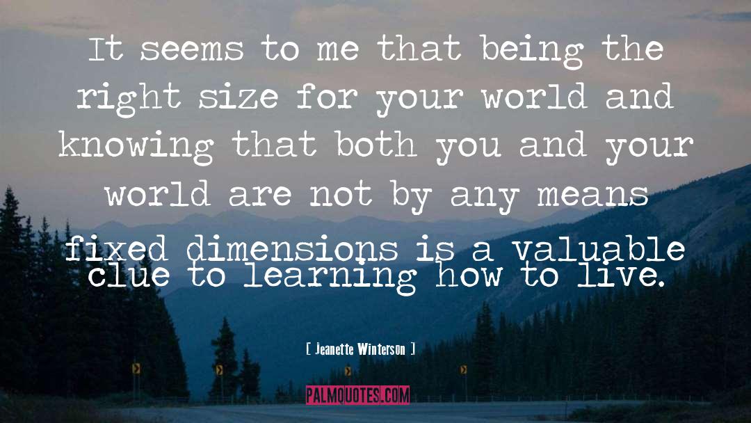 Just Being You quotes by Jeanette Winterson