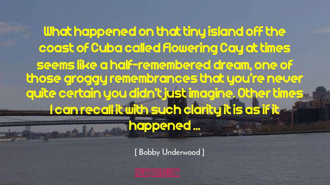 Just Imagine quotes by Bobby Underwood