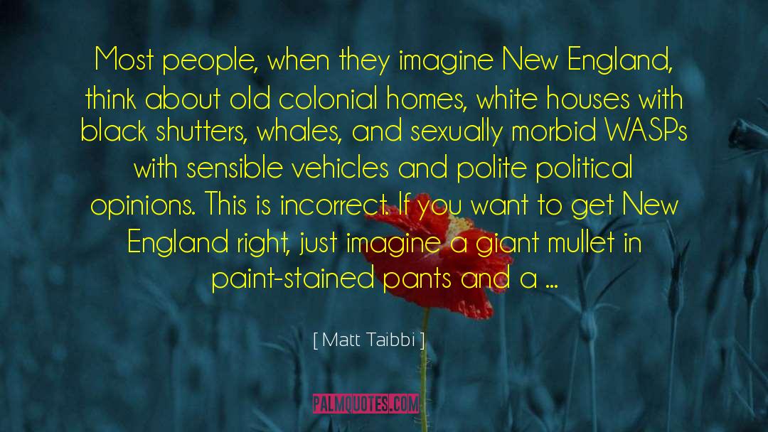 Just Imagine quotes by Matt Taibbi