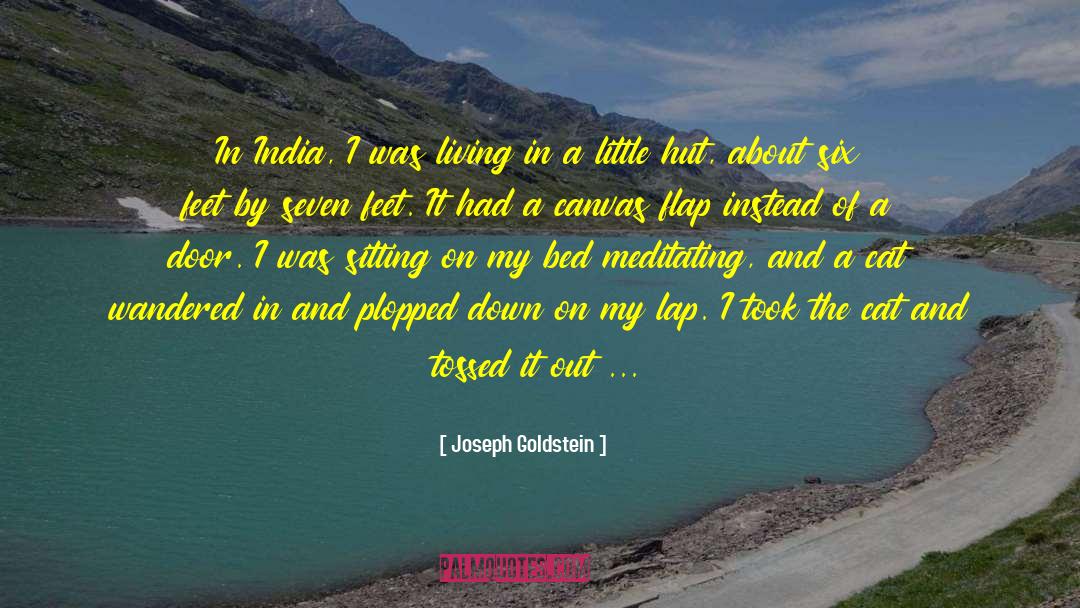 Just Let Go quotes by Joseph Goldstein