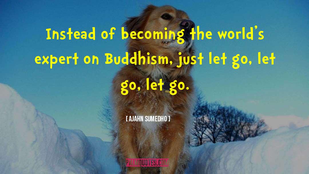 Just Let Go quotes by Ajahn Sumedho