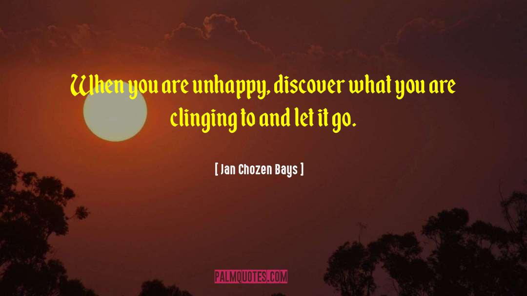 Just Let It Go quotes by Jan Chozen Bays