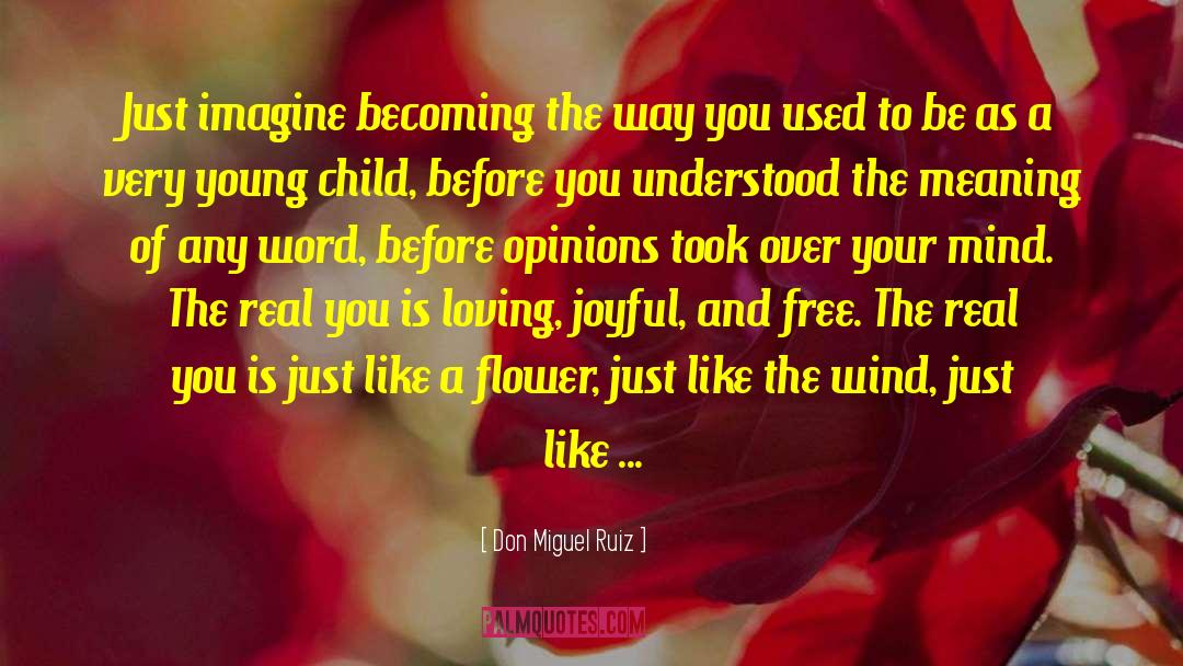 Just Like A Flower quotes by Don Miguel Ruiz
