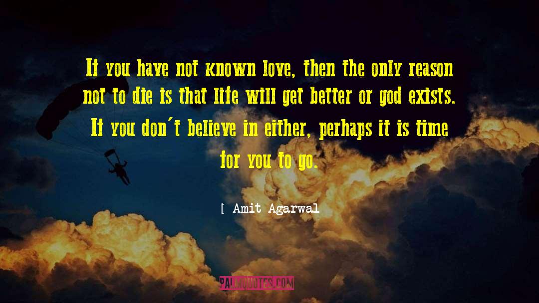 Just Love It quotes by Amit Agarwal