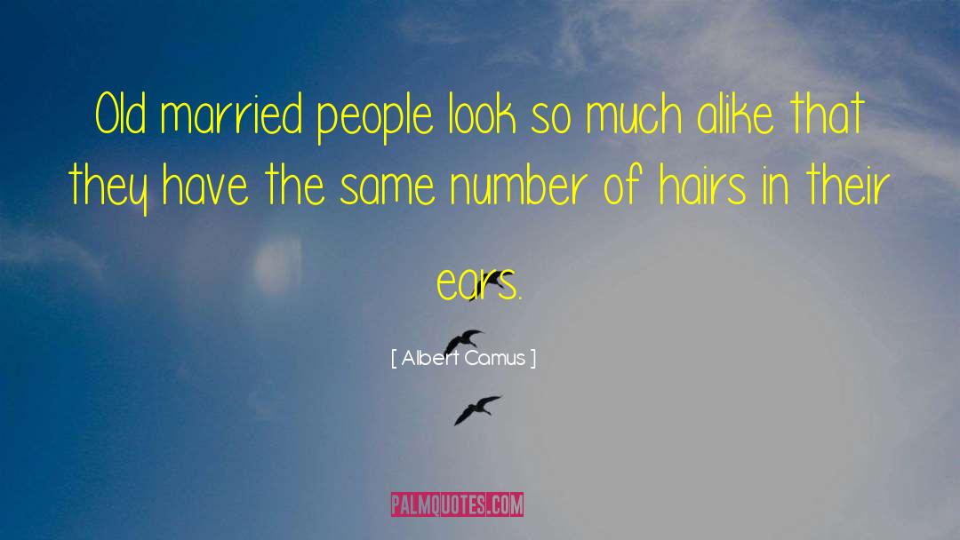 Just Married quotes by Albert Camus