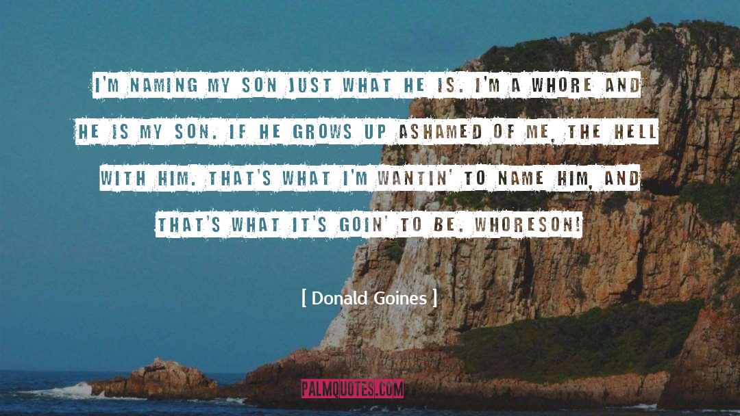 Just Me And My Son quotes by Donald Goines