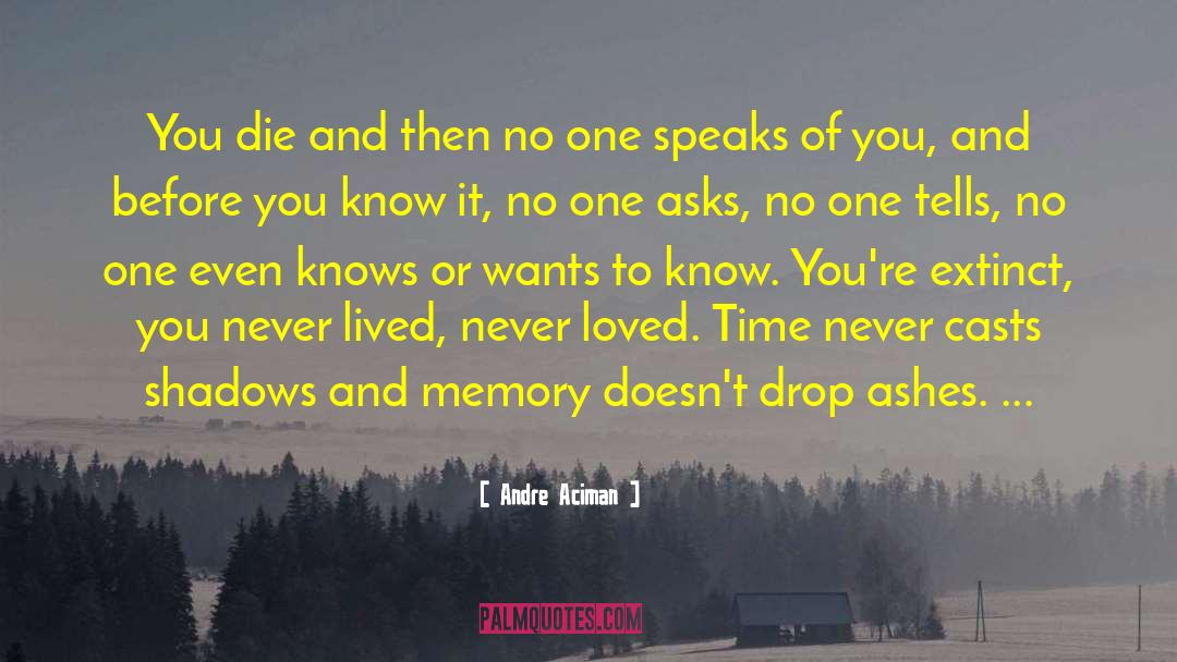 Just One Drop quotes by Andre Aciman