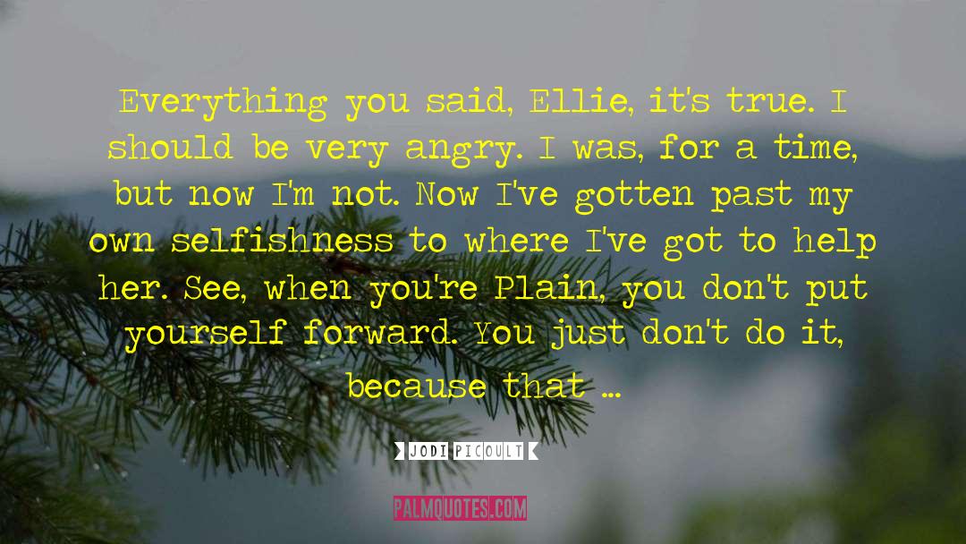 Just Plain Wow Writing quotes by Jodi Picoult