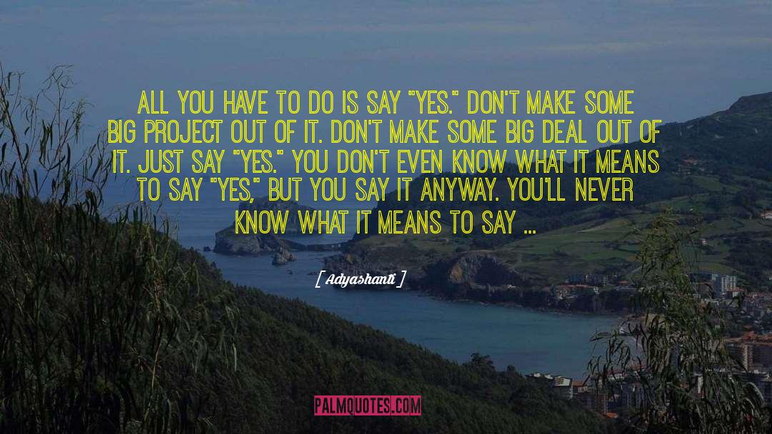 Just Say Yes quotes by Adyashanti