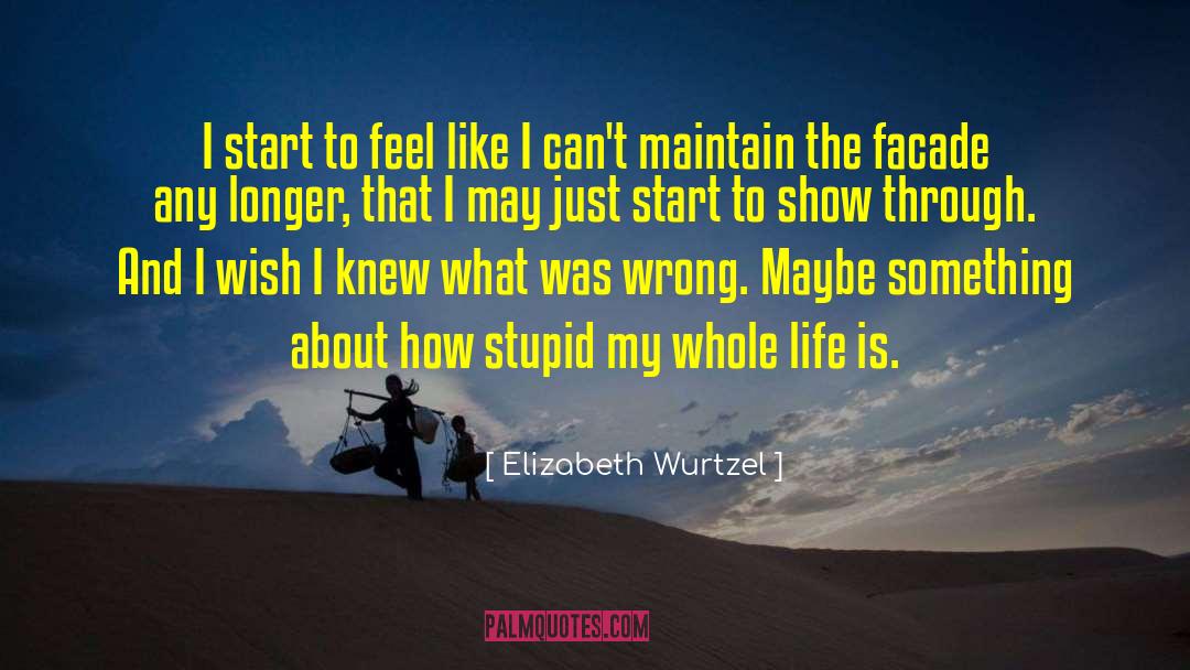 Just Start quotes by Elizabeth Wurtzel