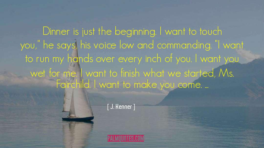 Just The Beginning quotes by J. Kenner
