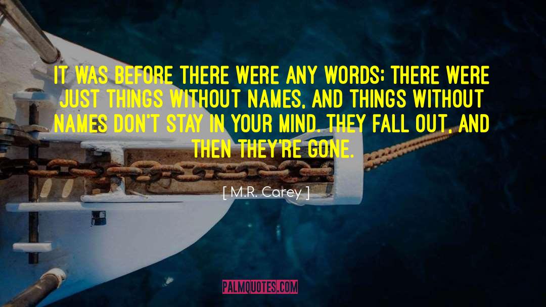 Just Things quotes by M.R. Carey