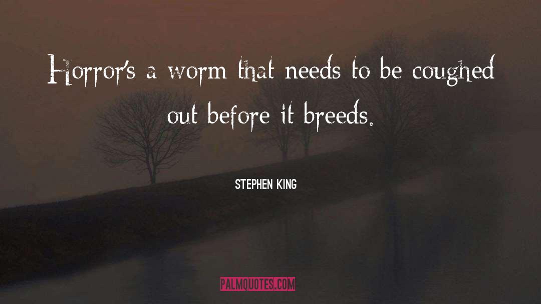 Justin King quotes by Stephen King