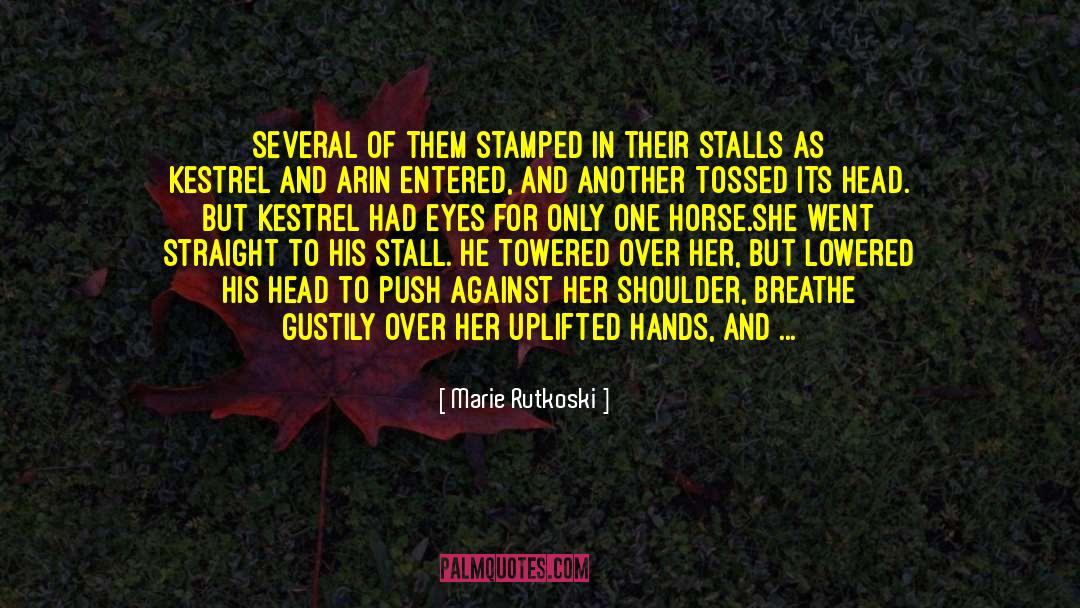 Jutland Horse quotes by Marie Rutkoski