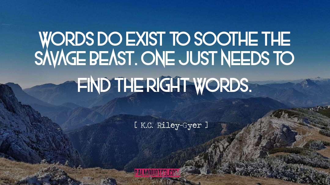 K C Snider quotes by K.C. Riley-Gyer