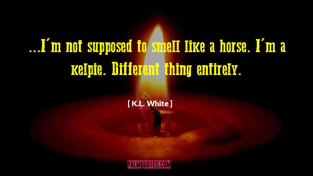 K L quotes by K.L. White